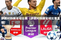 伊朗对韩国足球比赛（伊朗对韩国足球比赛直播）