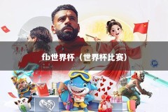 fb世界杯（世界杯比赛）