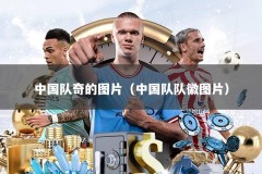 中国队奇的图片（中国队队徽图片）
