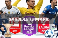 法甲保级队电影（法甲甲级联赛）