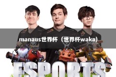 manaus世界杯（世界杯waka）