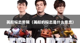 英超标志剪辑（英超的标志是什么意思）