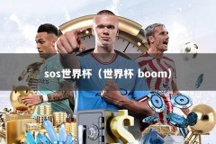 sos世界杯（世界杯 boom）