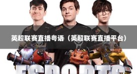 英超联赛直播粤语（英超联赛直播平台）