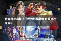 世界杯modric（世界杯莫德里奇是哪个国家）