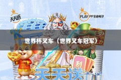 世界杯叉车（世界叉车冠军）