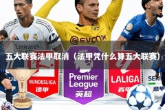 五大联赛法甲取消（法甲凭什么算五大联赛）