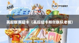 英超联赛纽卡（英超纽卡斯尔联队老板）