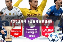 转转世界杯（世界杯回转比赛）