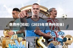 世界杯(团结)（2019年世界杯团体）