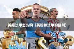 英超法甲怎么购（英超和法甲的区别）