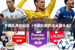 中国队齐的标志（中国队旗的含义是什么）
