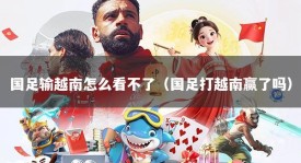 国足输越南怎么看不了（国足打越南赢了吗）