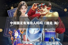 中国国足有海南人吗吗（国足 海）