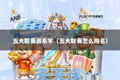 五大联赛派系学（五大联赛怎么排名）