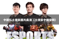 中国队土拨鼠图片高清（土拨鼠中国官网）