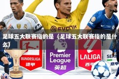 足球五大联赛指的是（足球五大联赛指的是什么）