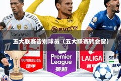 五大联赛告别球员（五大联赛转会窗）
