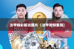 法甲精彩解说图片（法甲视频集锦）