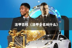 法甲百科（法甲全名叫什么）