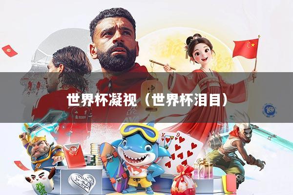 世界杯凝视(世界杯泪目)