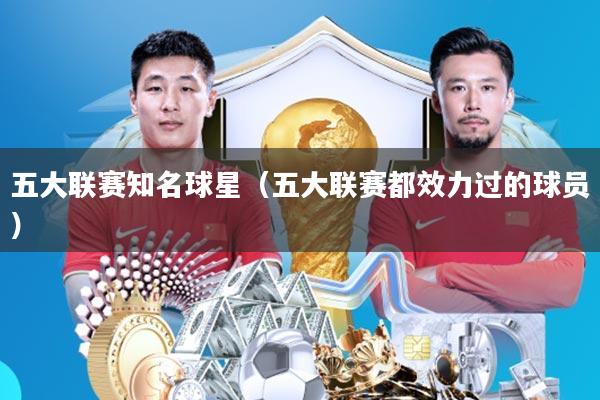五大联赛知名球星(五大联赛都效力过的球员)