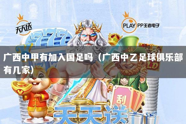 广西中甲有加入国足吗(广西中乙足球俱乐部有几家)